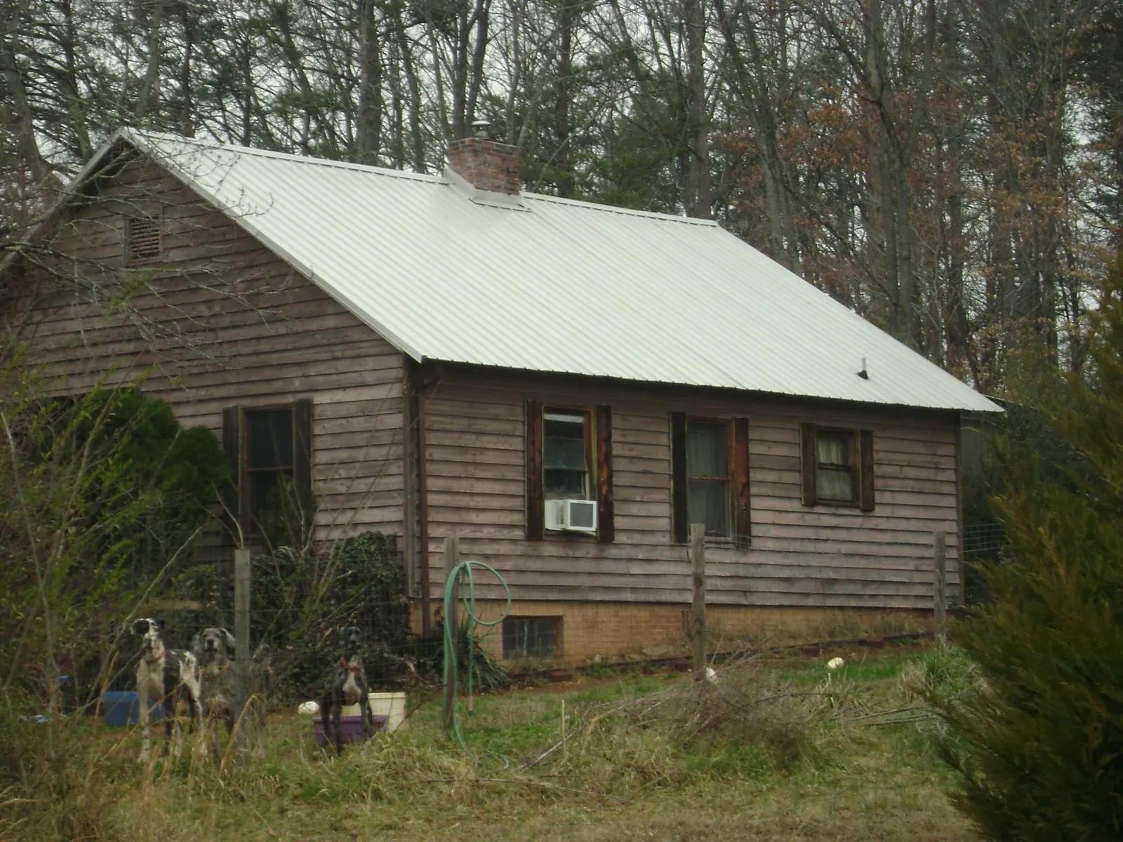 White metal roof on an old wood sided farmhouse, from a Asphalt Shingle Roof Repair job in Alto